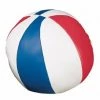 CHAMPION SPORTS P.E. Equipment CHAMPION SOFT SPORT BALL (BASKETBALL)