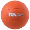 CHAMPION SPORTS P.E. Equipment CHAMPION RHINO SKIN® MOLDED FOAM BALL (BASKETBALL)