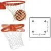 BISON INC Basketball COMPETITION BREAKAWAY GOAL (Baseline 180™ Collegiate)