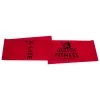CHAMPION SPORTS P.E. Equipment CHAMPION EXERCISE FLAT BANDS (RED X LT)