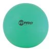 CHAMPION SPORTS P.E. Equipment CHAMPION FITPRO™ BALLS (33" GREEN)