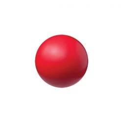 CHAMPION SPORTS CHAMPION HIGH PERFORMANCE FOAM BALL (6") P.E. Equipment