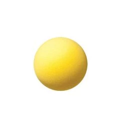 CHAMPION SPORTS P.E. Equipment CHAMPION REGULAR DENSITY FOAM BALL (6")