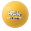 CHAMPION SPORTS CHAMPION RHINO SKIN FOAM BALL (ALL-AROUND) P.E. Equipment