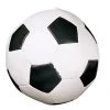 CHAMPION SPORTS P.E. Equipment CHAMPION SOFT SPORT BALL (SOCCERBALL)