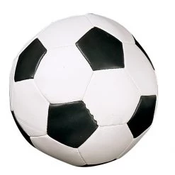 CHAMPION SPORTS P.E. Equipment CHAMPION SOFT SPORT BALL (SOCCERBALL)
